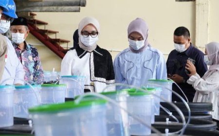 Pemprov Lampung memperkuat sektor Pertanian