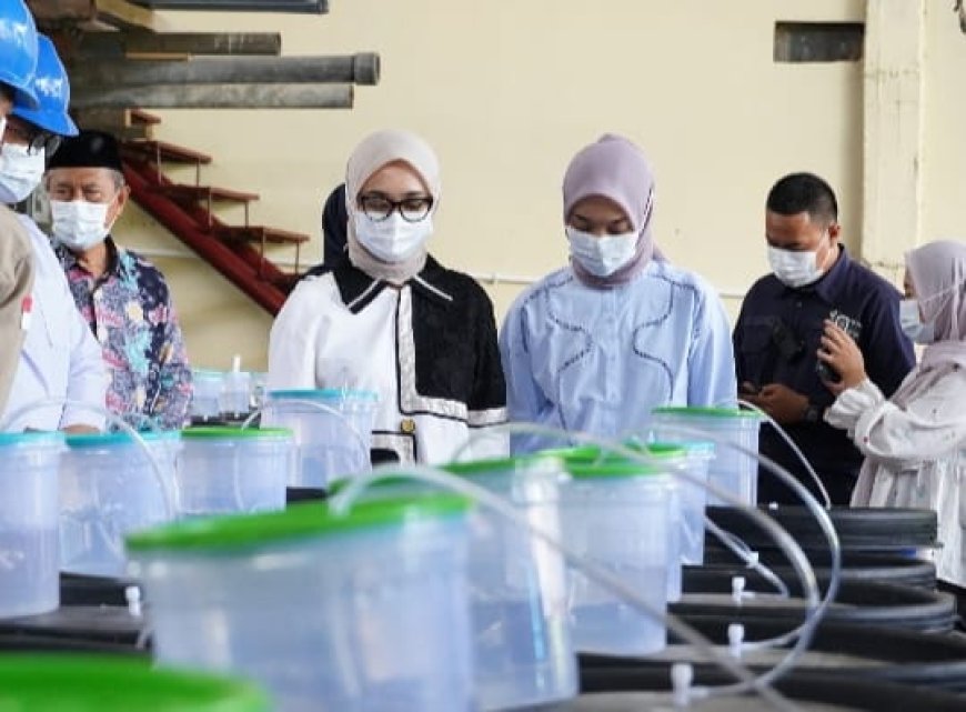 Pemprov Lampung memperkuat sektor Pertanian