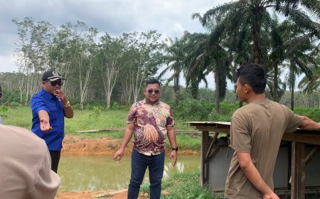 DPRD Mesuji "SIDAK" Temukan Lapak Karet Mutiara Tak Memiliki Izin