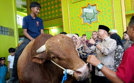 Gubernur Lampung Serahkan Bentuan Sapi Kurban dari Presiden RI