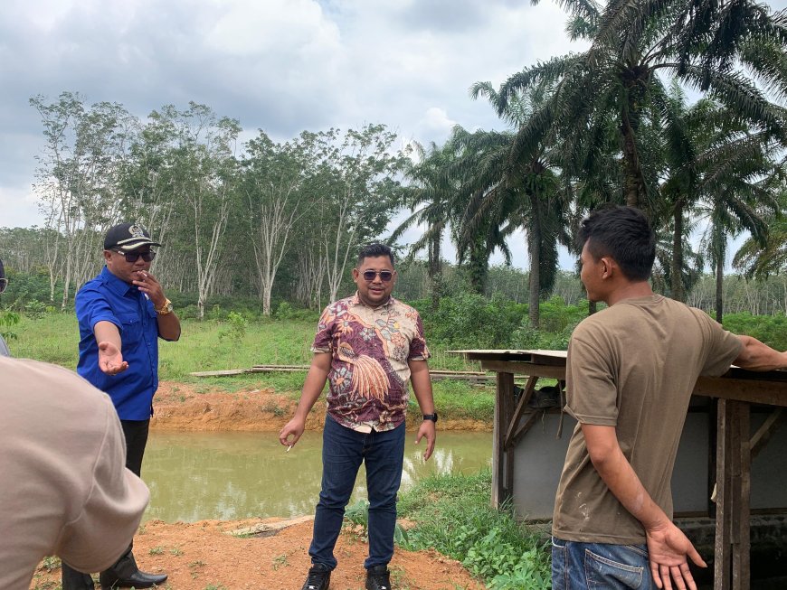 DPRD Mesuji "SIDAK" Temukan Lapak Karet Mutiara Tak Memiliki Izin