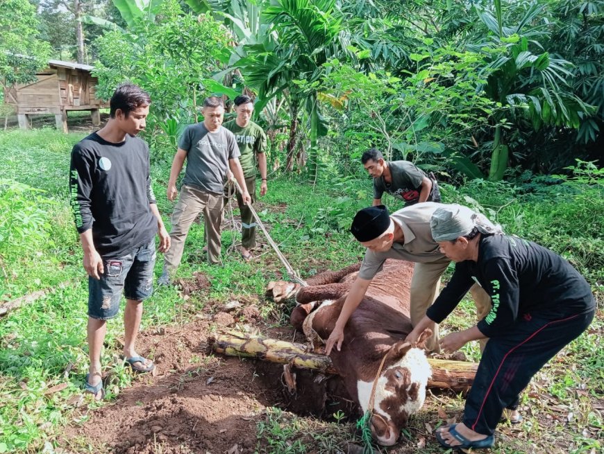 Imelda Gunawan Raka, S.H. Tetap Istiqomah Berkurban di Iduladha 1446 H, Komitmen Peduli Masyarakat Sejak Sebelum Jadi Anggota DPRD