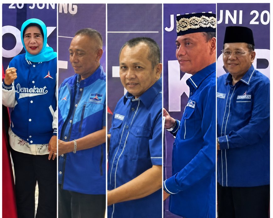 Lima Kader Demokrat Siap Bertarung Rebut Kursi Ketua DPD Demokrat Lampung