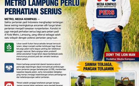 Alih Fungsi Lahan Ancam Masa Depan Petani Padi, Metro Lampung Diminta Perkuat Perlindungan LP2B